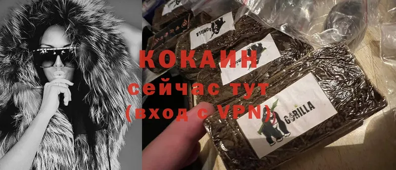 Cocaine Колумбийский  Саранск 