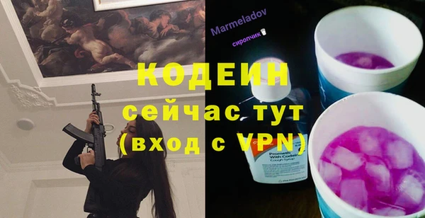 тгк Снежногорск