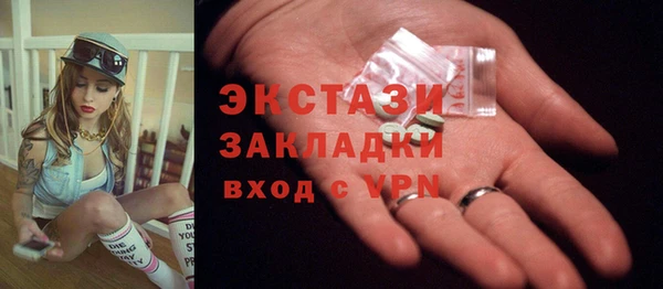 тгк Снежногорск