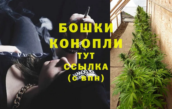 тгк Снежногорск