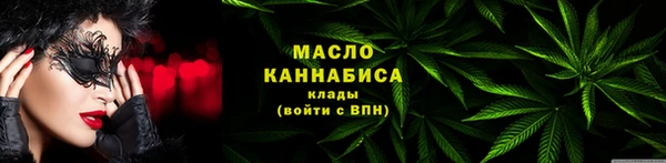 тгк Снежногорск