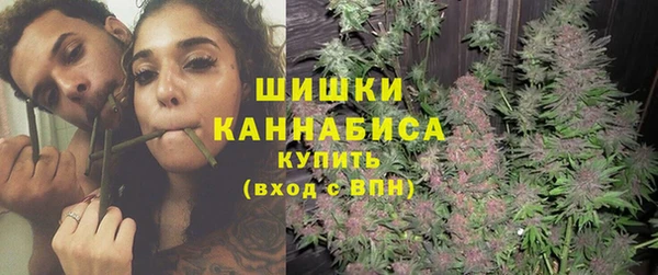 тгк Снежногорск
