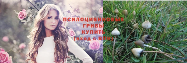 дмт Николаевск-на-Амуре