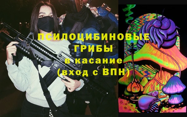 тгк Снежногорск