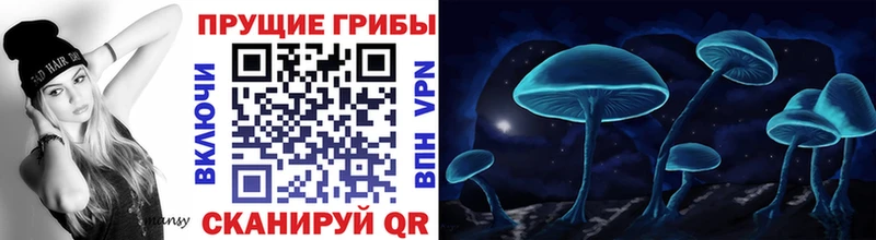 Псилоцибиновые грибы ЛСД  мориарти официальный сайт  Саранск 