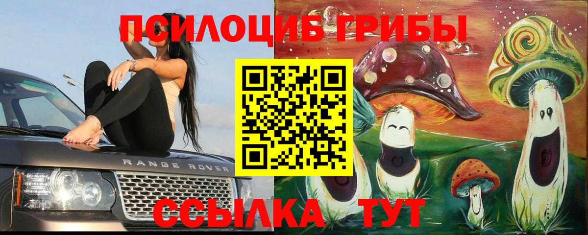 Галлюциногенные грибы MAGIC MUSHROOMS  Вход с VPN  Саранск 