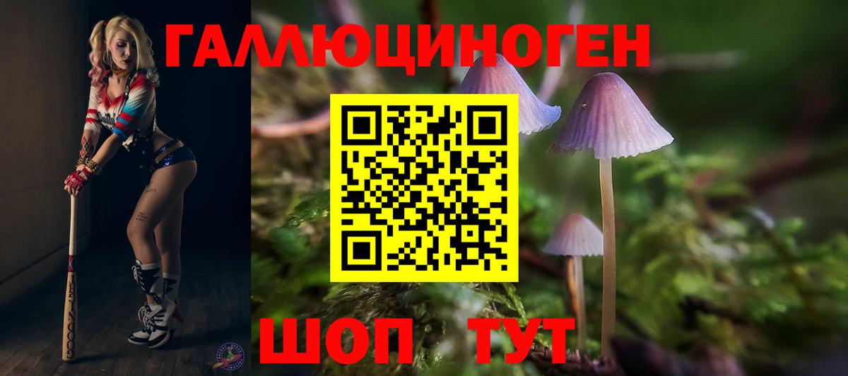 Галлюциногенные грибы мицелий Саранск
